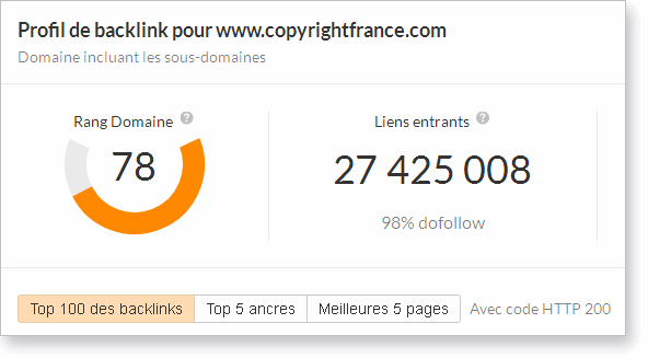  Les chiffres cl&eacute;s de COPYRIGHTFRANCE.COM 