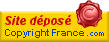  T&eacute;l&eacute;charger ce logo copyright 